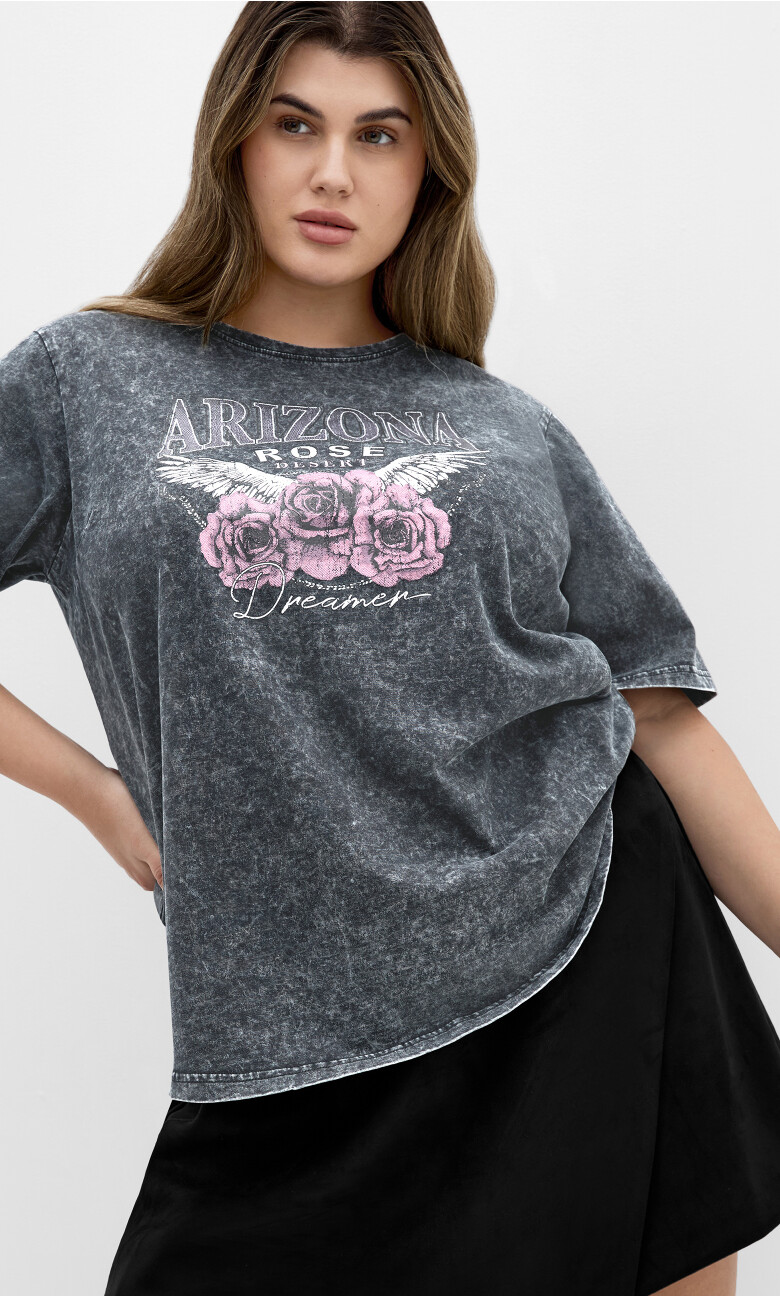 Plus Size Ryan Arizona Print Tee - grey wash

