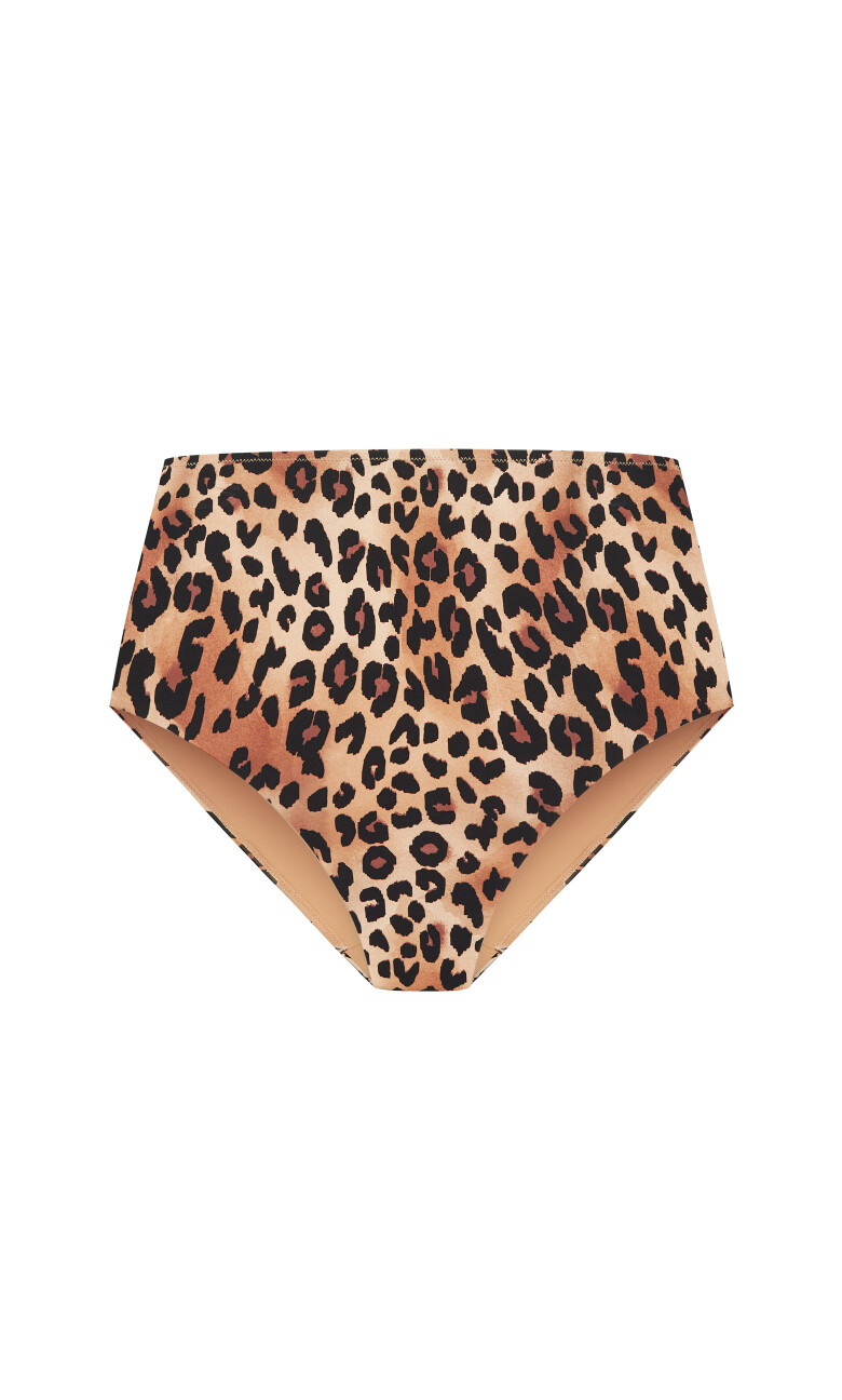 Vigo Hi Waist Bikini Brief - animal