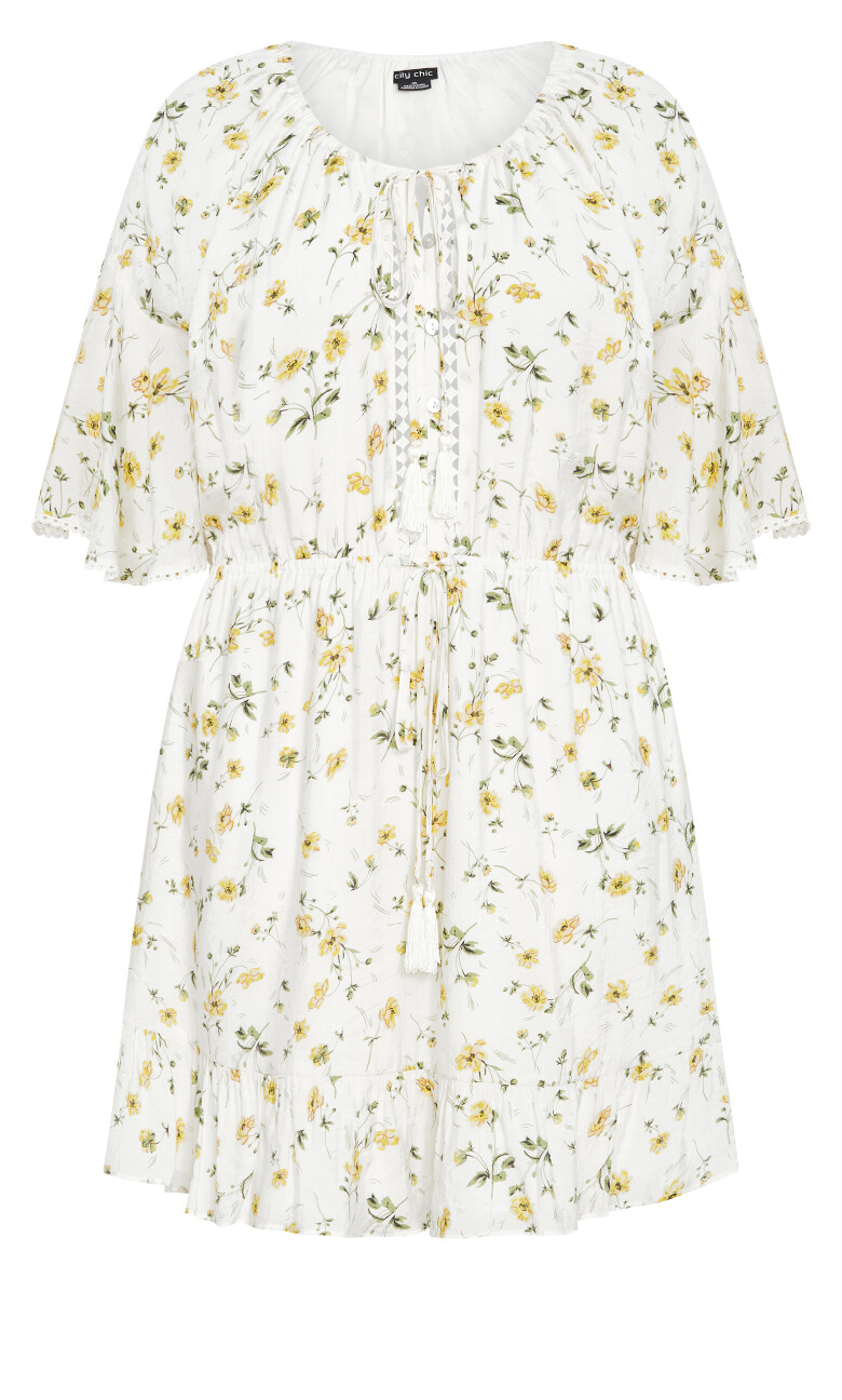 Ayanna Embroidered Print Dress - print