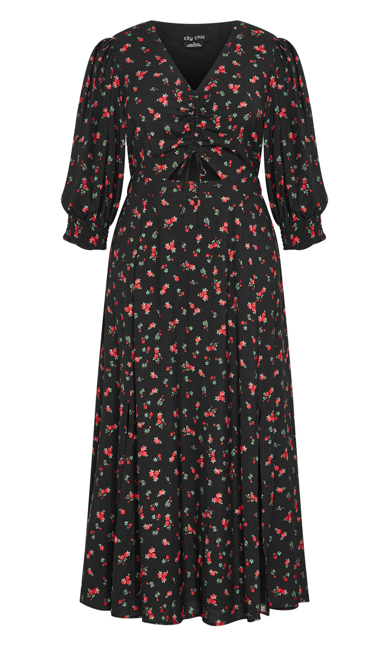 Jolene Rose Print Maxi Dress - black